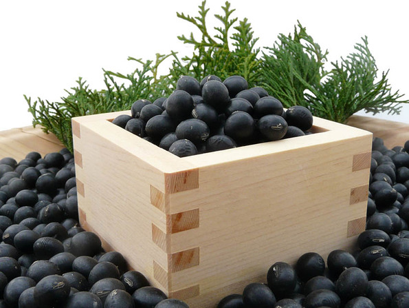 筑前クロダマルの画像