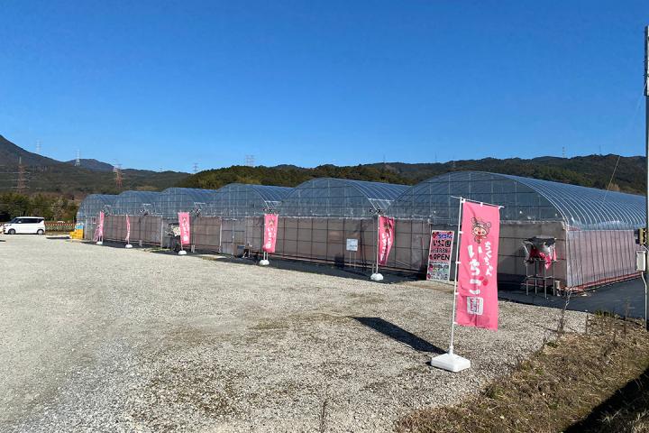 の画像