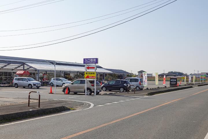 の画像