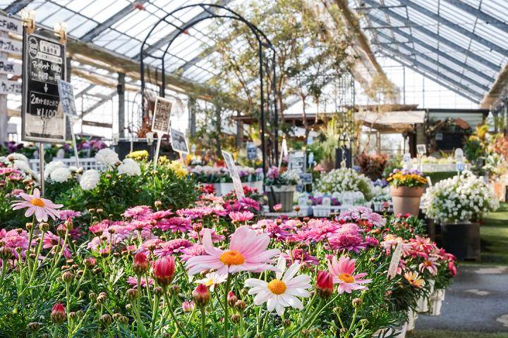 花が迎えてくれる店内の画像