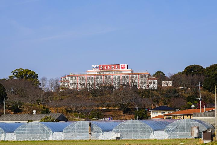 の画像