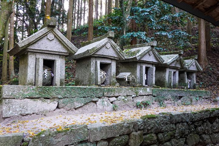 の画像