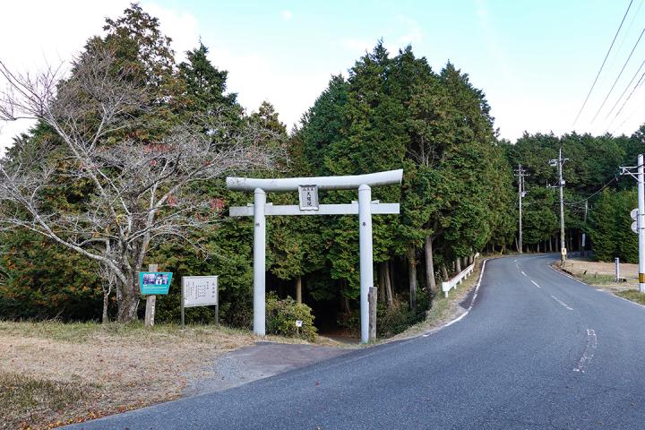 の画像