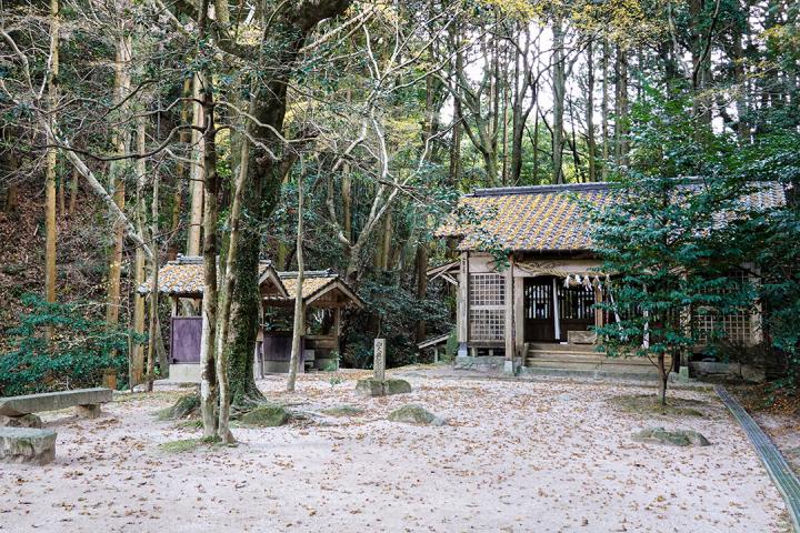 の画像