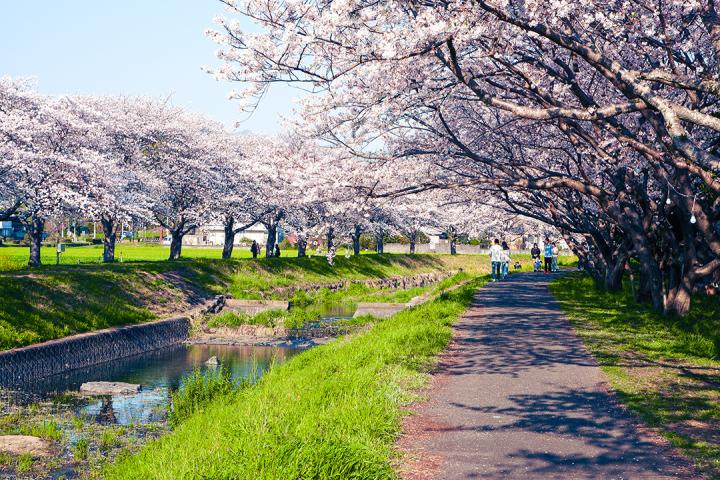 の画像