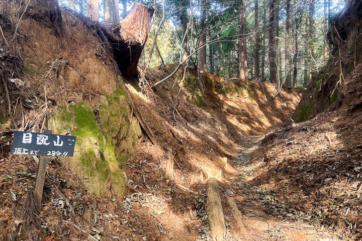 登山道の様子の画像
