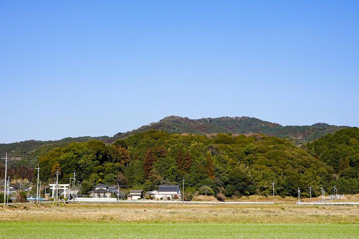 の画像