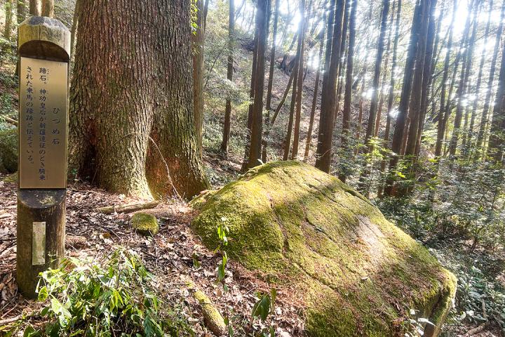 ひづめ石の画像