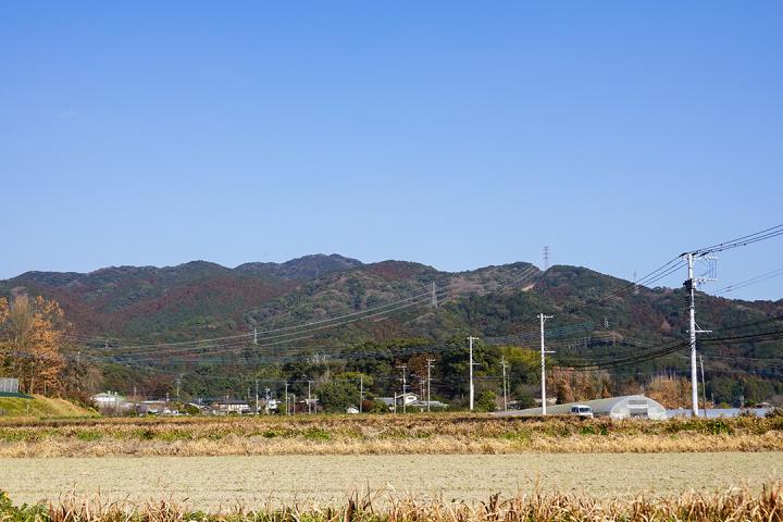 の画像