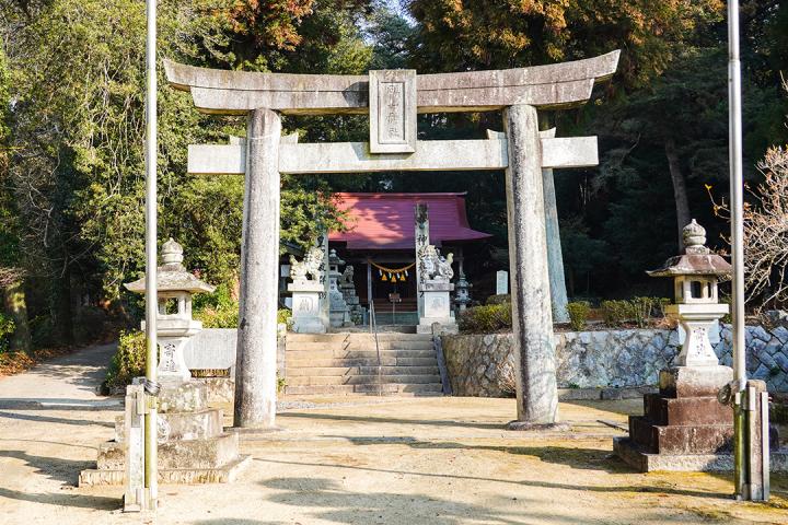 の画像