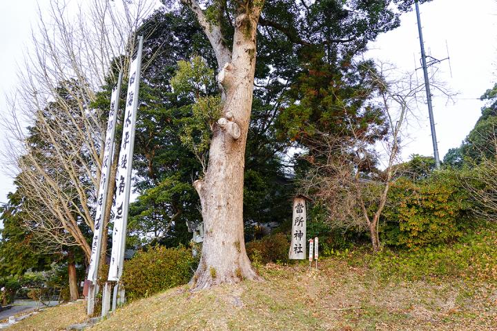 看板が目印の画像