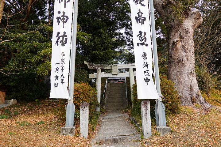 の画像